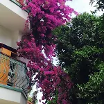 Hotel La Boutique Ipek Kemer