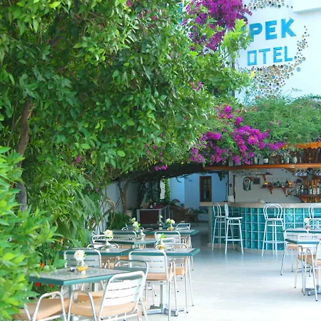 酒店 La Boutique Ipek 3*