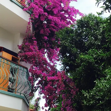 Hotel La Boutique Ipek Kemer