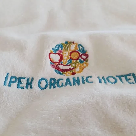 La Boutique Ipek 酒店 3*