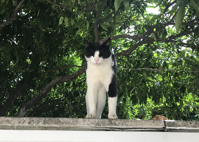 ホテル La Boutique Ipek 3*