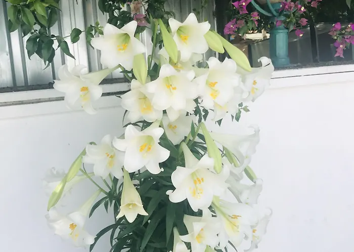 La Boutique Ipek Szálloda 3*