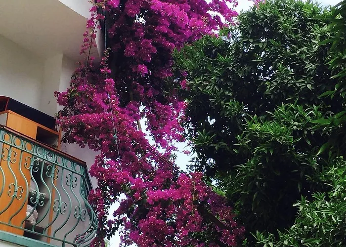 Szálloda La Boutique Ipek Kemer